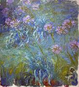 Claude Monet Agapanthus Sweden oil painting artist
